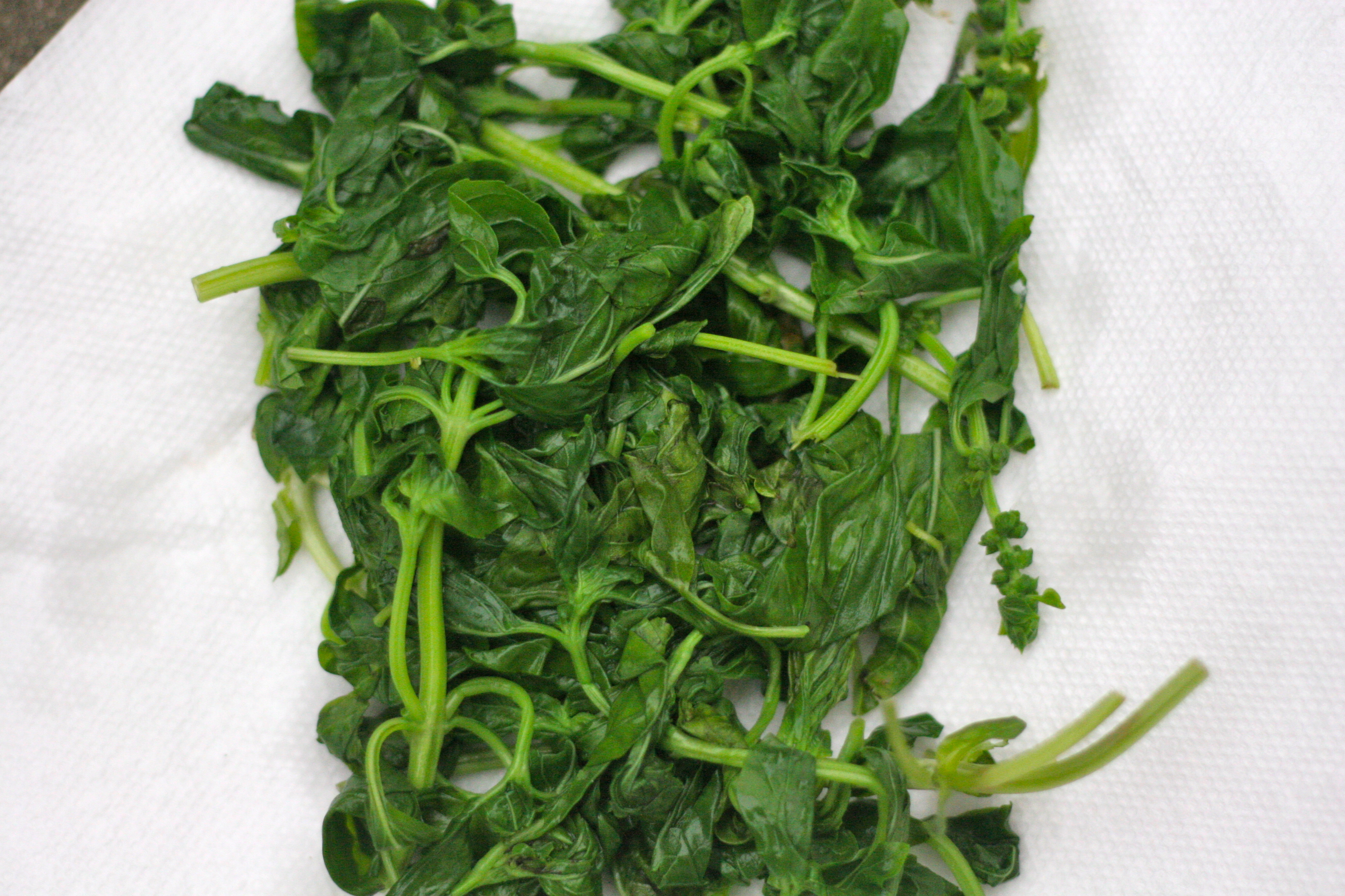 Blanched basil